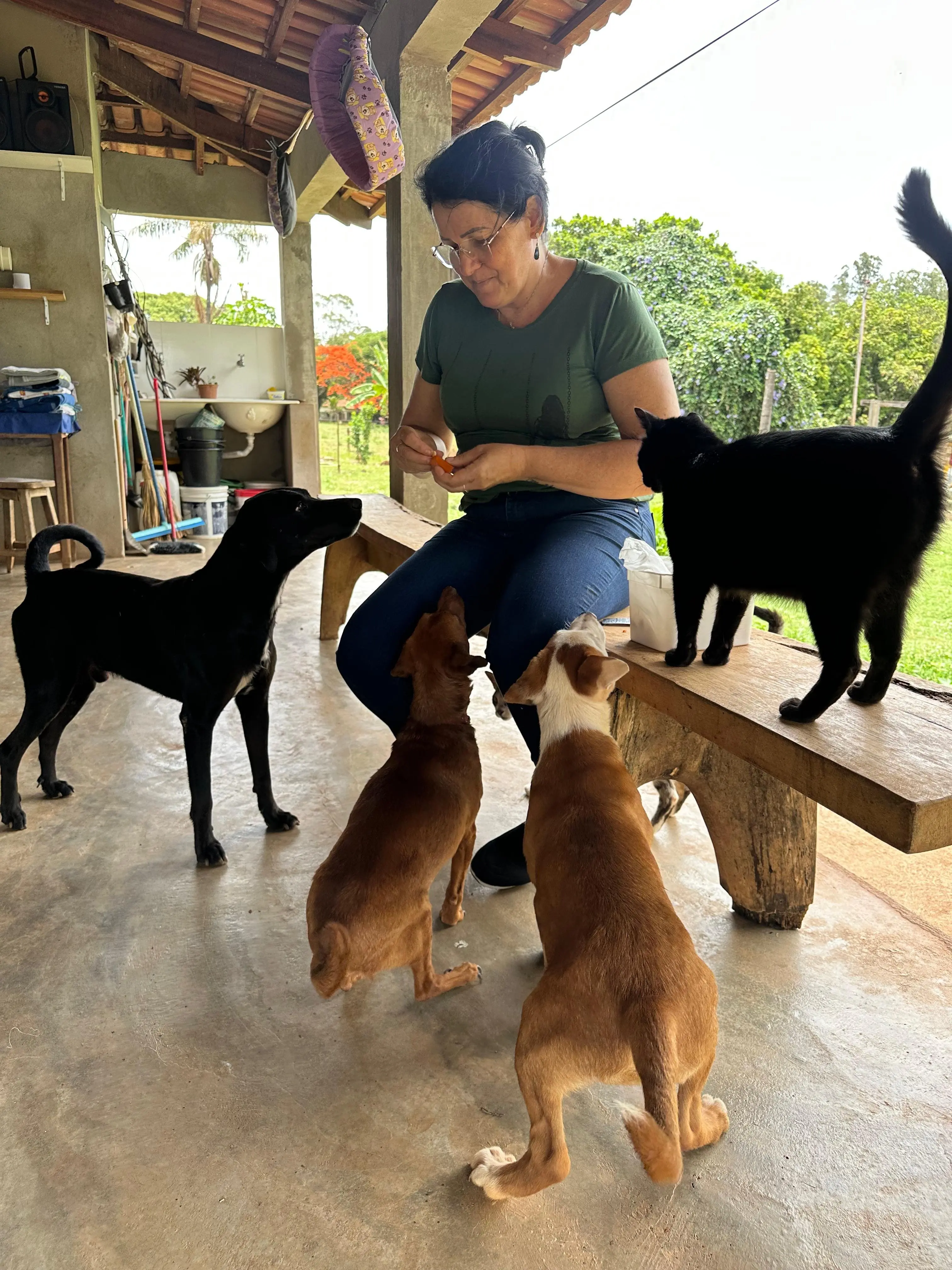 Tia Cleide alimentando os cães resgatados