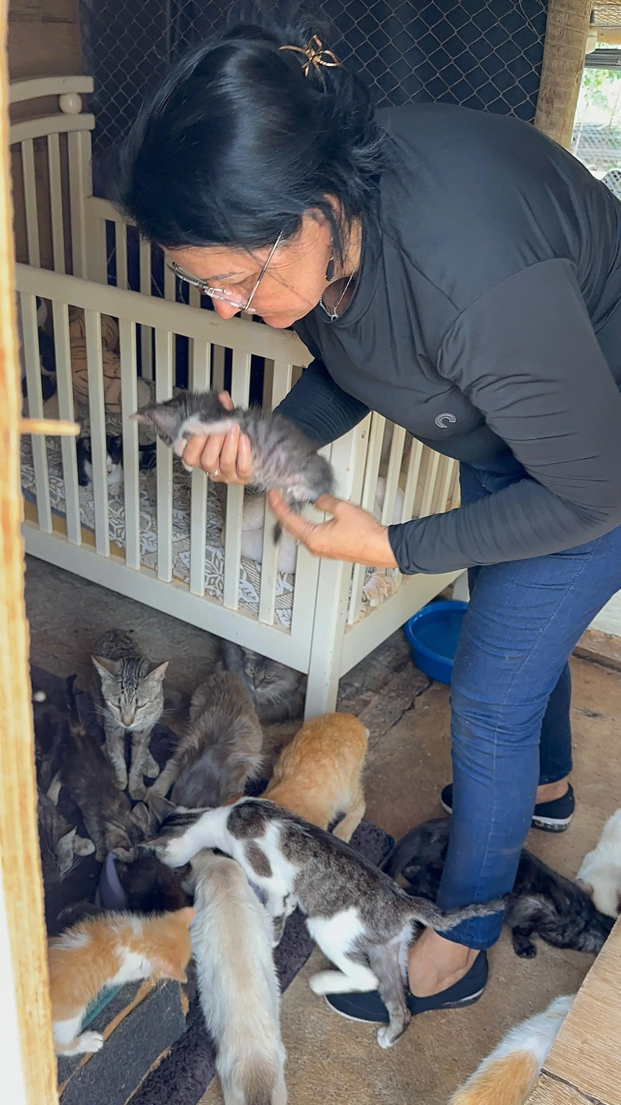 Tia Cleide segurando um filhote resgatado