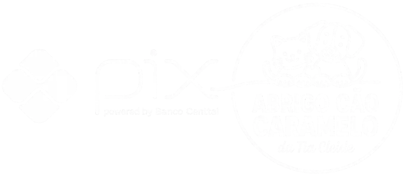 QR Code PIX Salve Cão